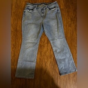 Judy Blue Light Wash Straight Leg Jeans